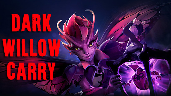guide dark willow carry